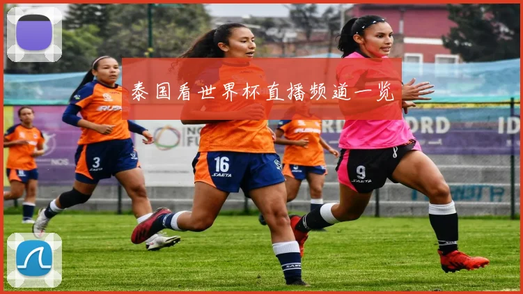 泰国看世界杯直播频道一览