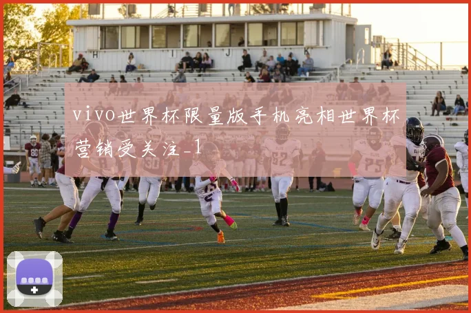 vivo世界杯限量版手机亮相世界杯营销受关注_1