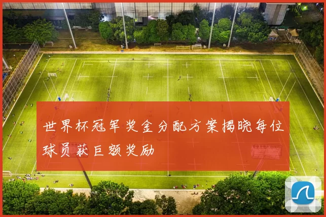 世界杯冠军奖金分配方案揭晓每位球员获巨额奖励